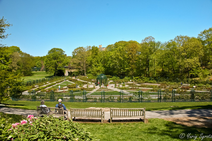 Нью-Йоркский Ботанический Сад весной Нью-Йорк, CША