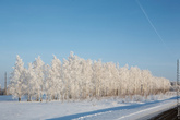 Это дорога в Татарстане. Тоже очень красиво. Мы тут были летом, зимой все выглядит по другому.