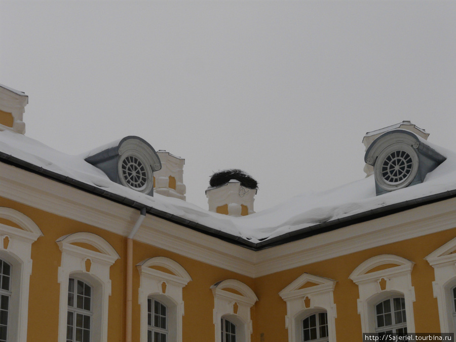 Гнездо аиста на дворце Бирона... Латвия