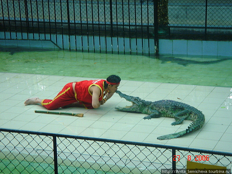 Пытается найти контакт с крокодилом Пхукет, Таиланд