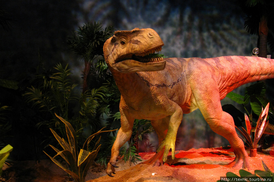 В павильоне с «динозаврами» Абердин, Гонконг