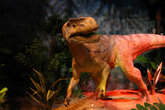 В павильоне с «динозаврами»