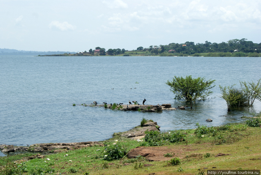 окраина Энтеббе Энтеббе, Уганда