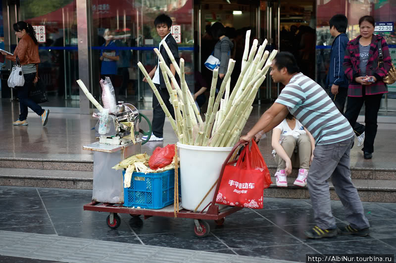 Продавцы сахарного торостника могут сразу отжать сок или можно просто
пожевать сочный стебель отдав пару кваев за метр. Китай