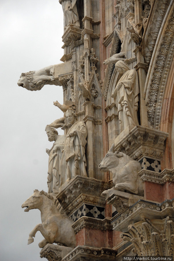 Домский собор, деталь Сиена, Италия