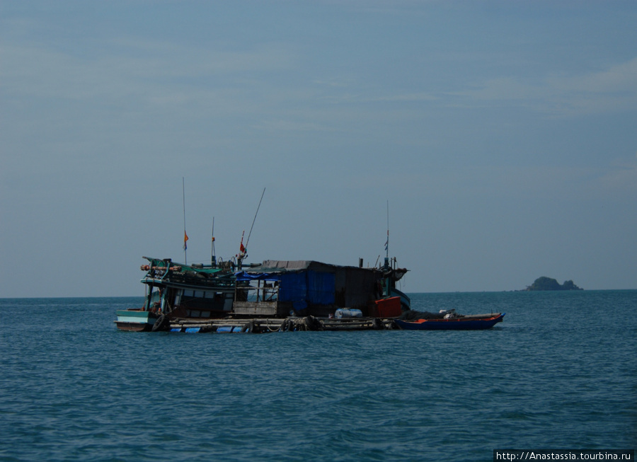 Морская жизнь островитян Остров Фу Куок, Вьетнам