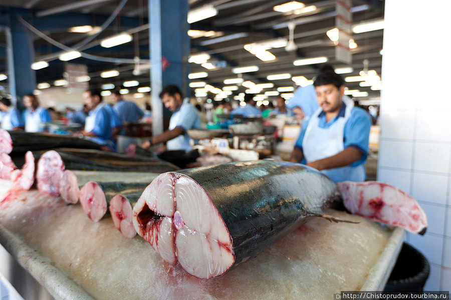 Рыбный и мясной рынок. Дубай, ОАЭ