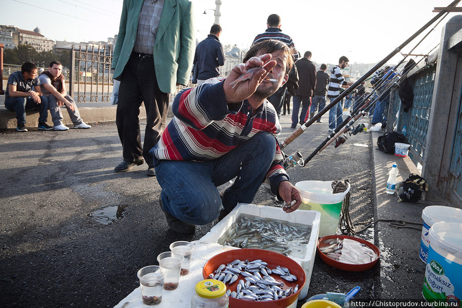 Вдоль ряда рыбаков-энтузиастов прохаживаются люди с термосами и продают чай. Есть еще люди, продающие наживку. Стамбул, Турция
