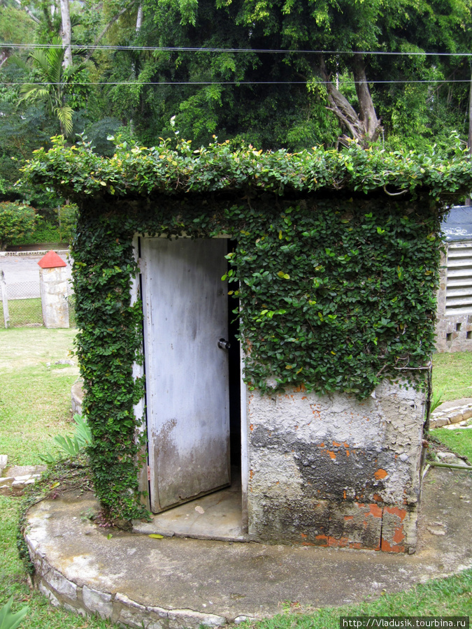 Зеленый туалетный домик :)
