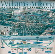 карта Вильямса.