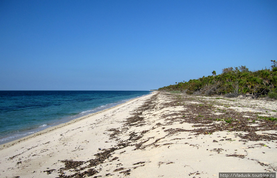 Дикий пляж на окраине заповедника Национальный парк Полуостров Гуанаакабибес, Куба