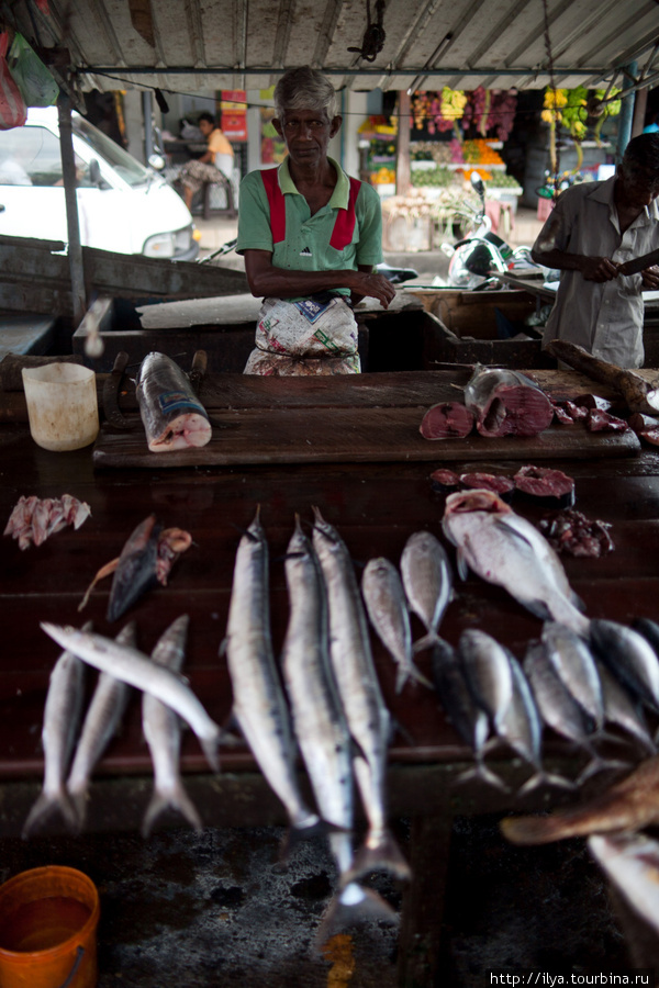 Рыбаки Шри-Ланка
