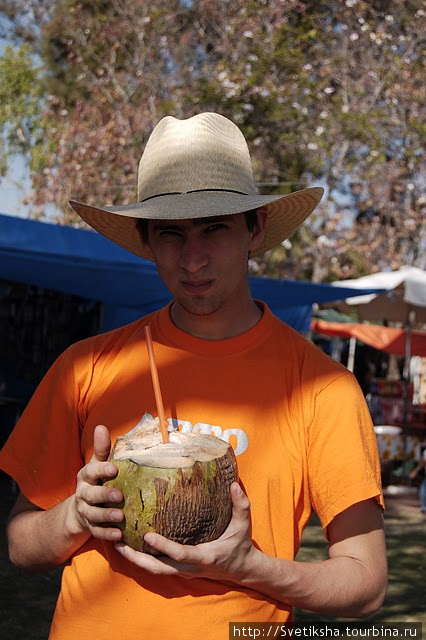Вся правда о свежих кокосах Штат Халиско, Мексика