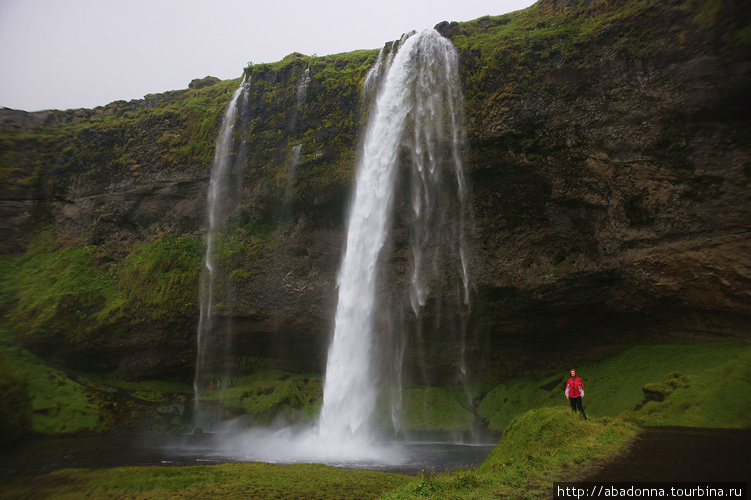 Свадебное путешествие в Исландию. День третий. Южная Исландия, Исландия