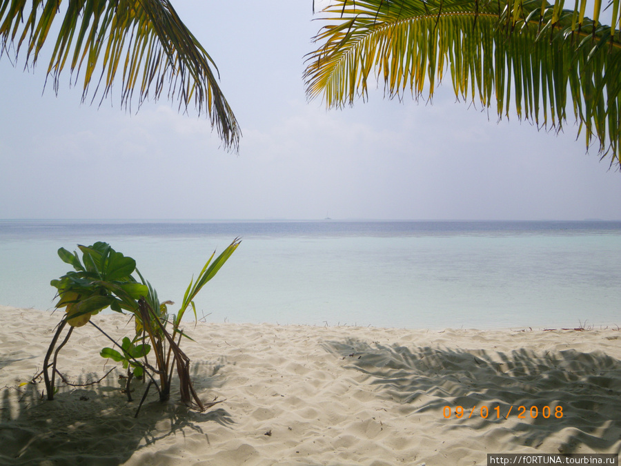 Bandos Island Resort & Spa Бандос, Мальдивские острова