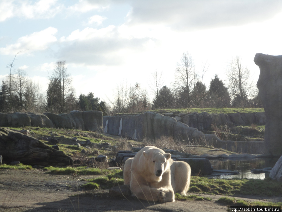 Роттердамский зоопарк Роттердам, Нидерланды