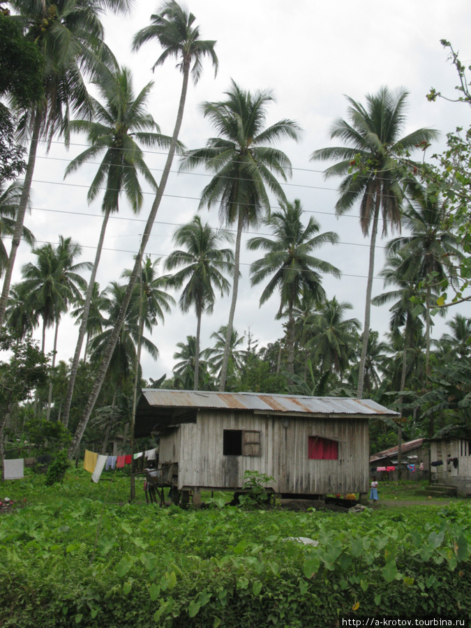Жилые дома в деревнях Котабато, Филиппины