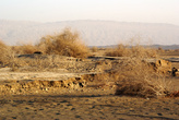 Пустынная растительность в Турфанской котловине
