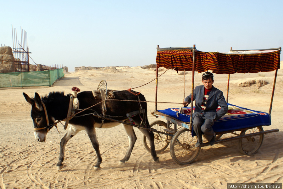 Запряженная ишаком тележка — единственный вид транспорта на руинах города Гаочан Синьцзян-Уйгурский автономный район, Китай