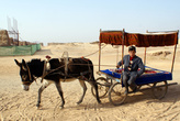 Запряженная ишаком тележка — единственный вид транспорта на руинах города Гаочан