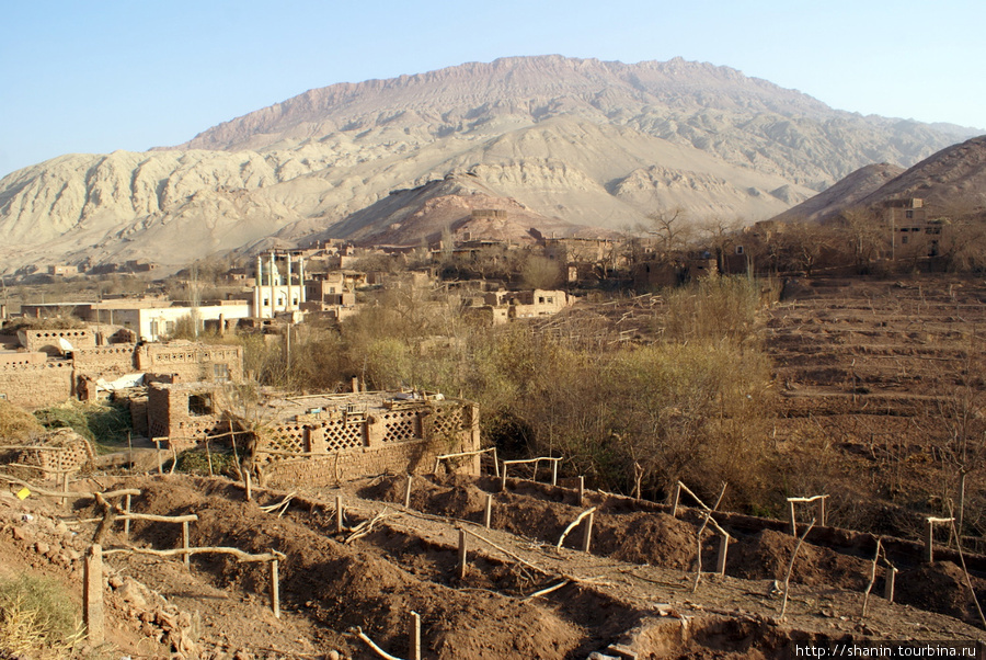 Деревня в оазисе Туюк Синьцзян-Уйгурский автономный район, Китай