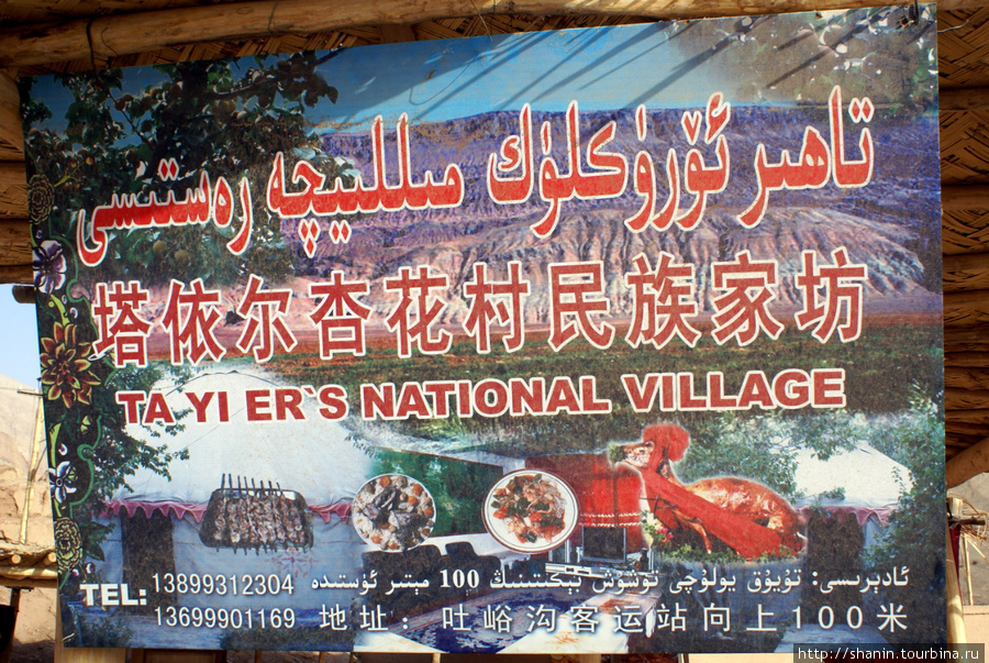 Оазис Туюк Синьцзян-Уйгурский автономный район, Китай