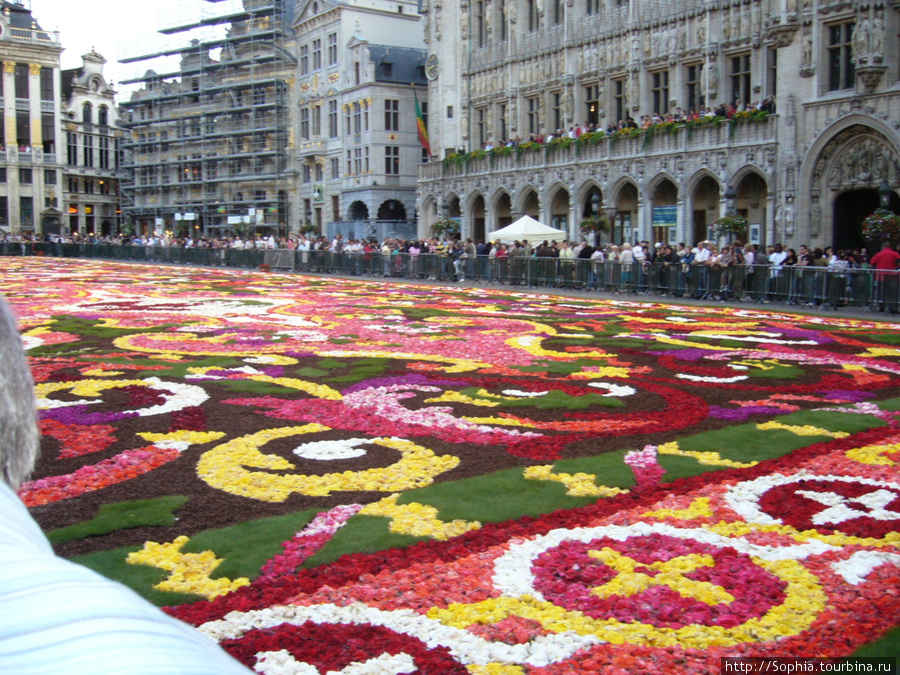 Цветочный ковер на Гран Пляс (Grand Place) Брюссель, Бельгия