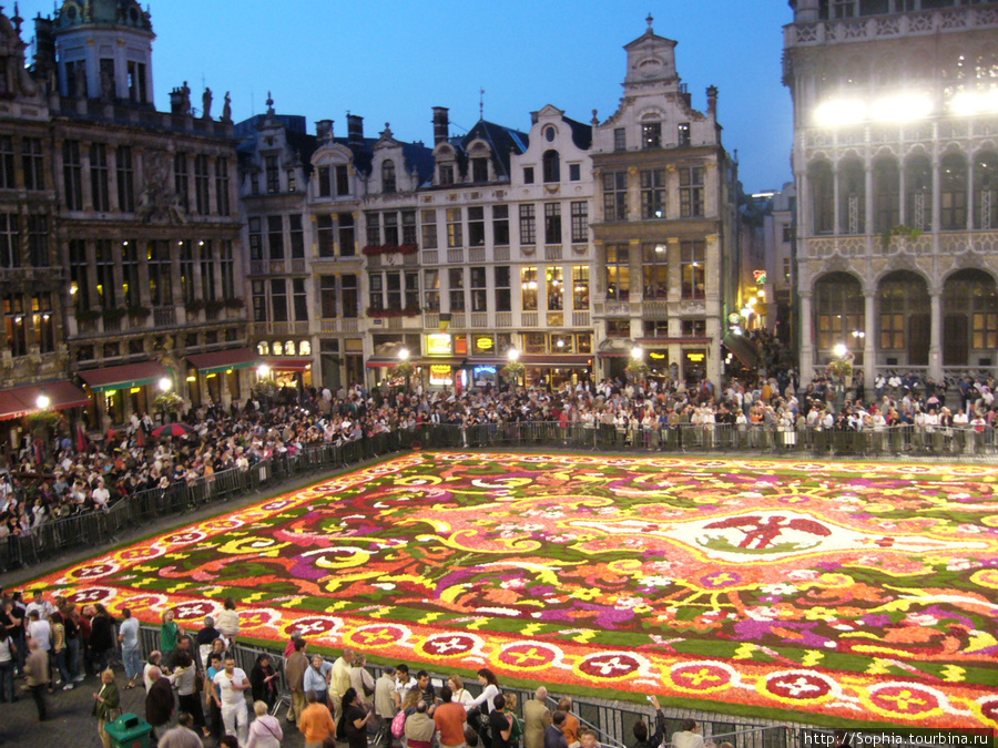 Цветочный ковер на Гран Пляс (Grand Place) Брюссель, Бельгия