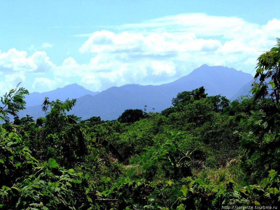 Натура Пуэрто-Принсеса, остров Палаван, Филиппины