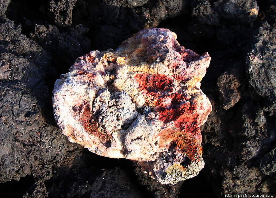 Среди пепла стали попадаться интересные камешки — гости из недр земли. Вулкан Этна Национальный Парк (3350м), Италия
