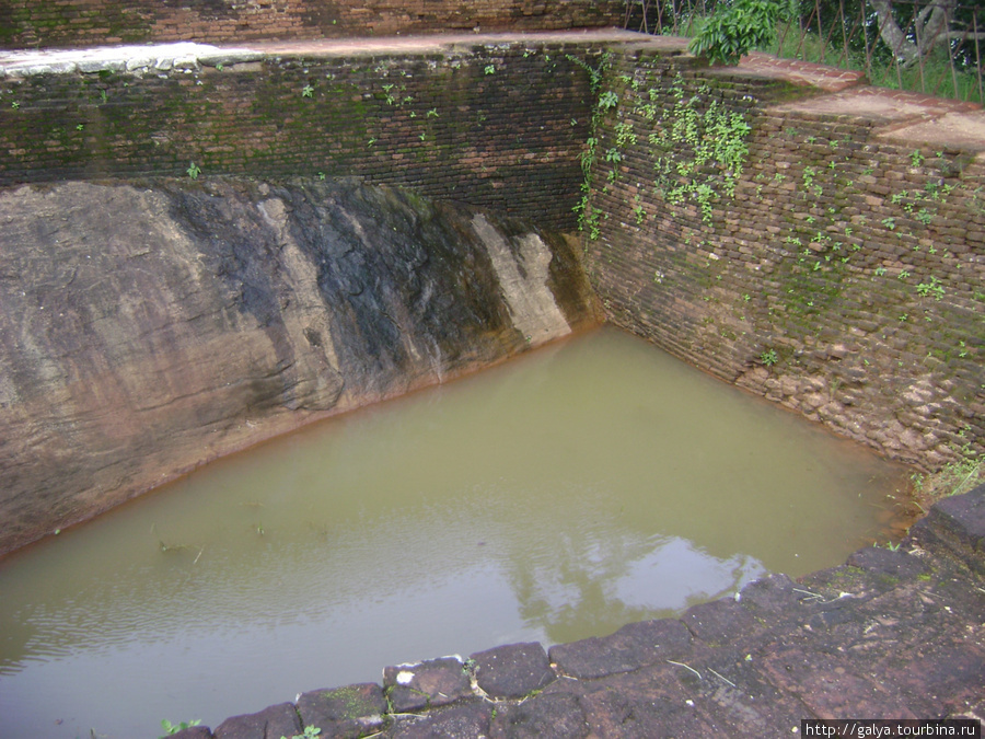 бассейн для прислуги Бентота, Шри-Ланка