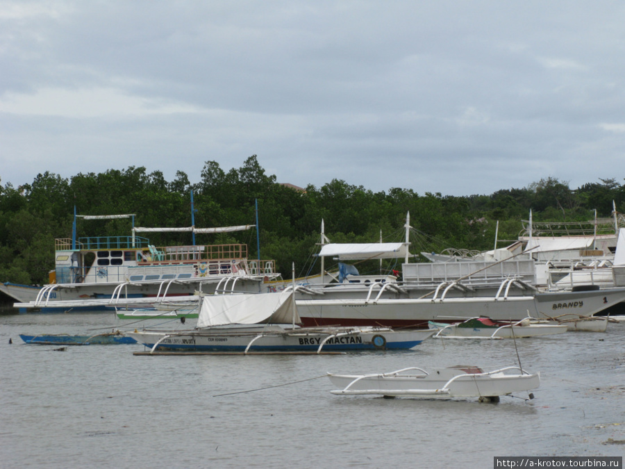 Рядом залив, судёнышки всякие Лапу-Лапу-Сити, остров Себу, Филиппины