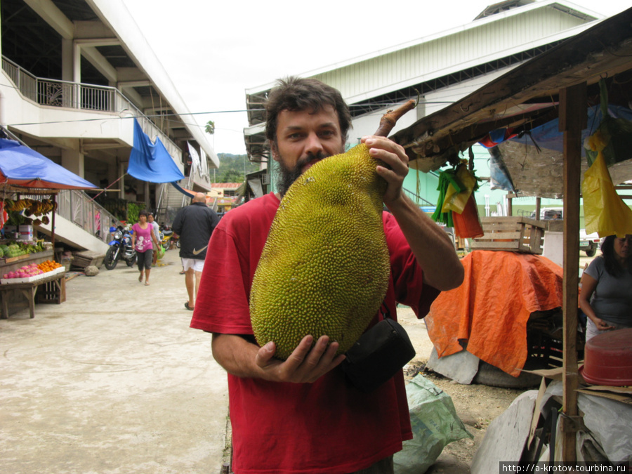 Джек-фруты — самые большие фрукты в мире Алкой, остров Себу, Филиппины