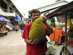 Джек-фруты — самые большие фрукты в мире