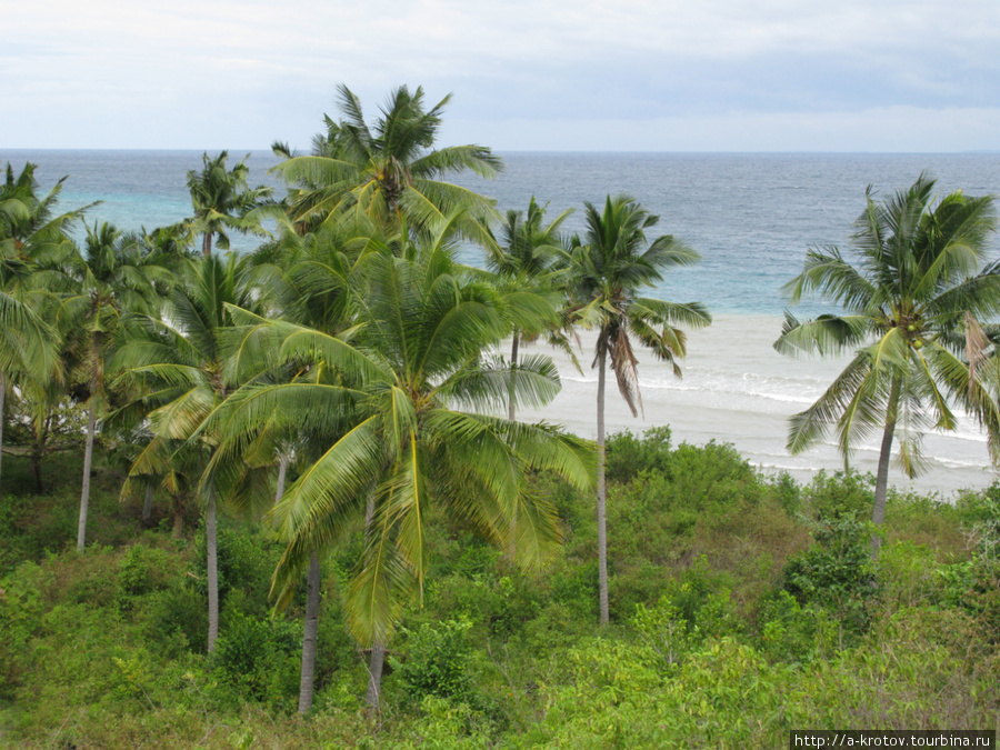 Берег моря Алкой, остров Себу, Филиппины