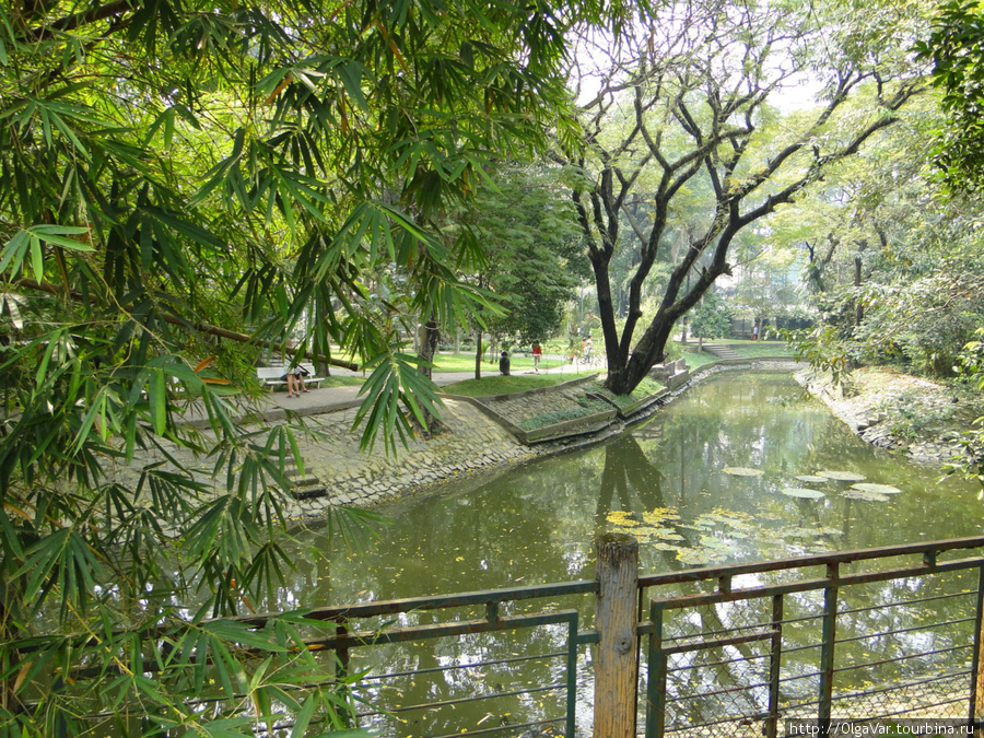 Ботанико-зоологические радости Сайгона Хошимин, Вьетнам