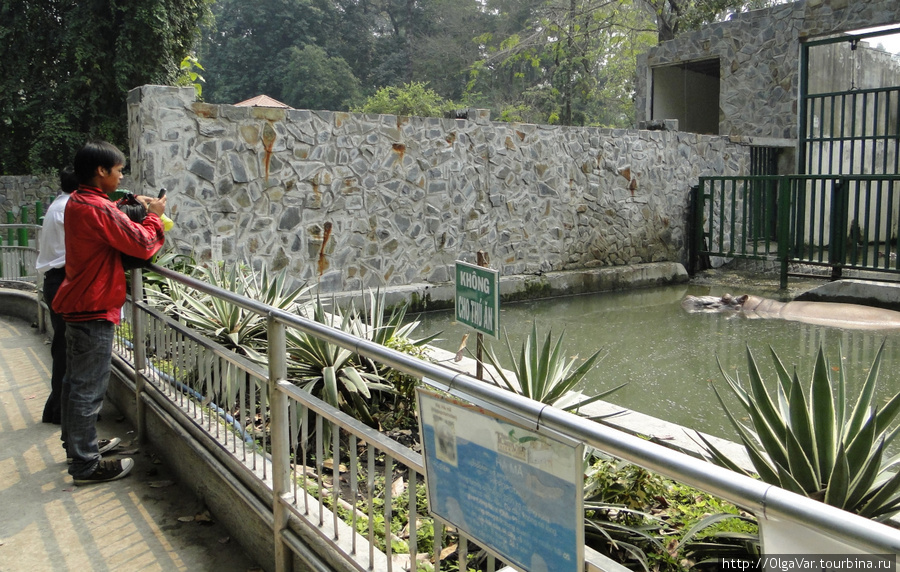 Ботанико-зоологические радости Сайгона — 2 Хошимин, Вьетнам