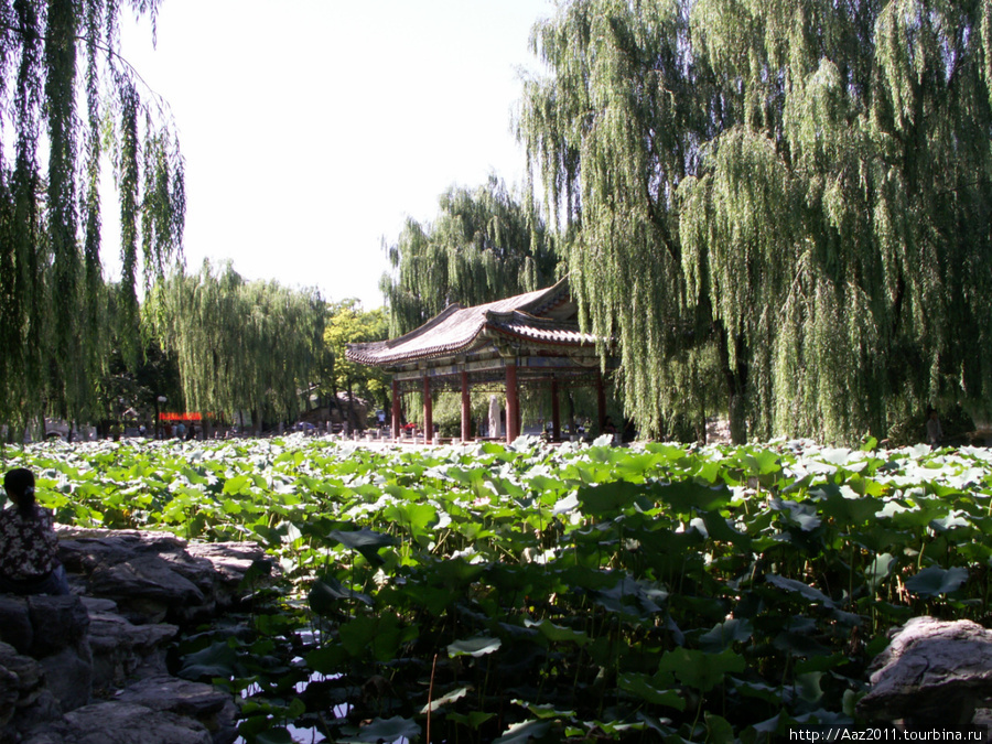 Пекин - парк Ri Tan Пекин, Китай