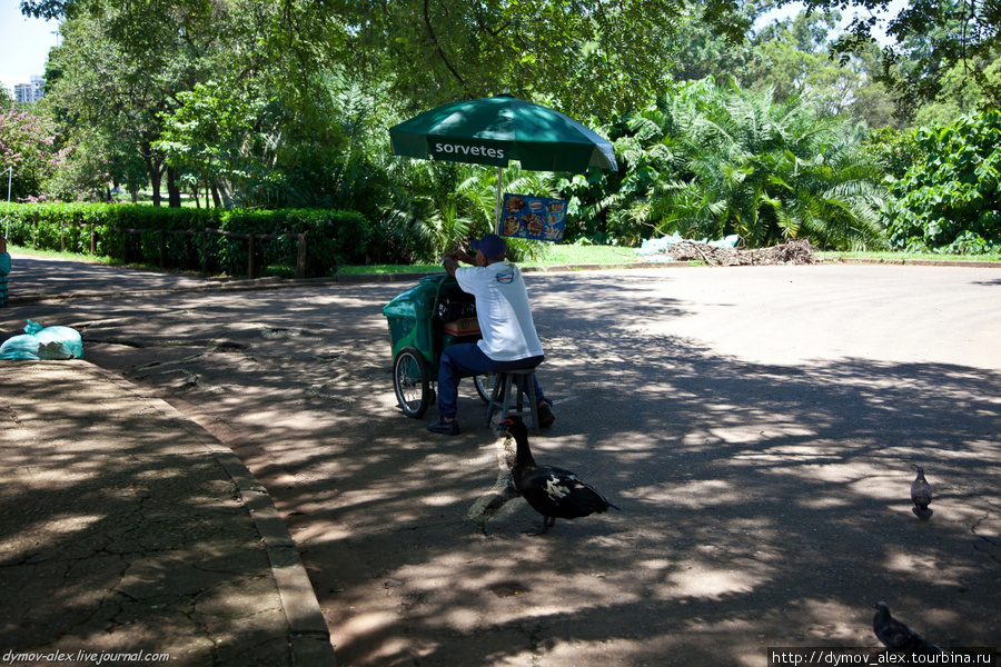 Парк Ибирапуэра Сан-Паулу, Бразилия