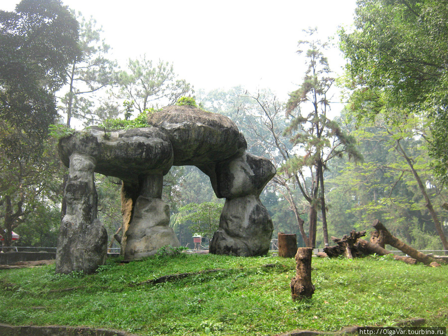 Ботанико-зоологические радости Сайгона Хошимин, Вьетнам