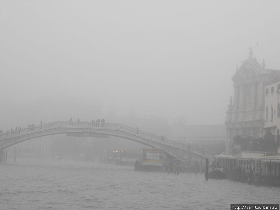 Мост Академии в тумане Венеция, Италия