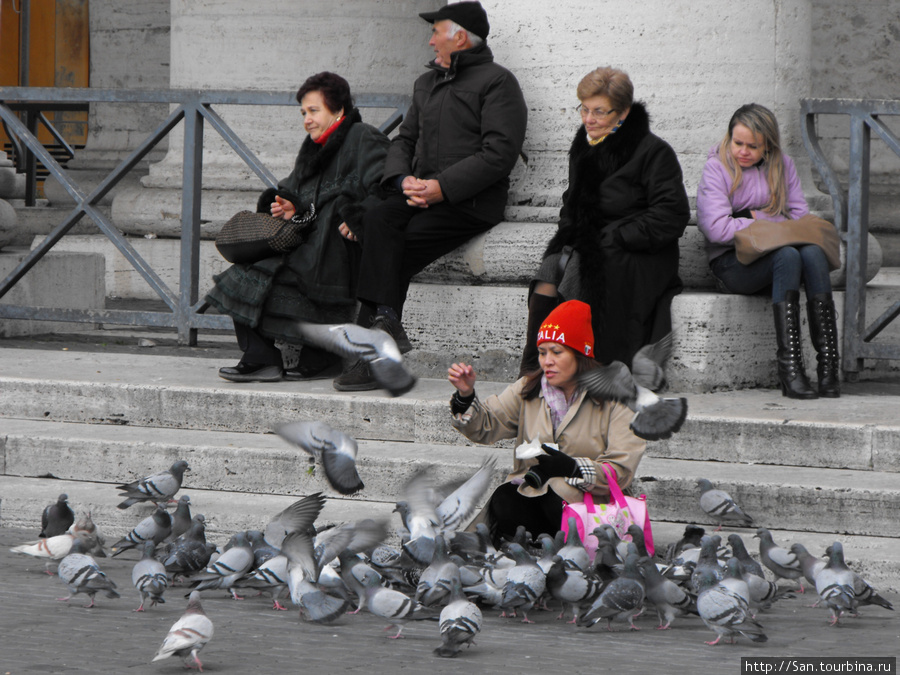 А эти голуби уже внизу на площади. Рим, Италия