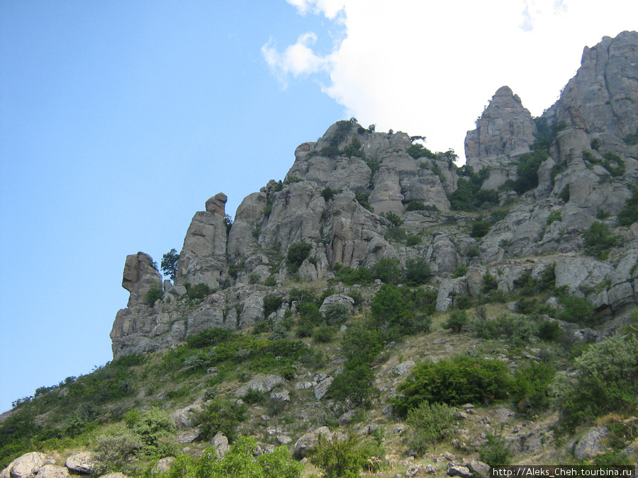 Конное путешествие в горы - Демерджи, Крым. Алушта, Россия