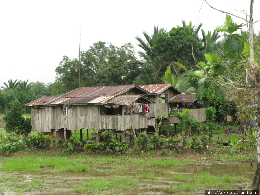 Так и живут обитатели деревни Тренто Бутуан, Филиппины