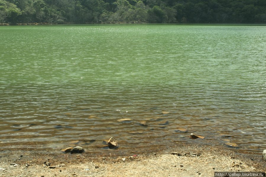 Кратерное озеро Лагуна Алегрия / La Laguna de Alegria