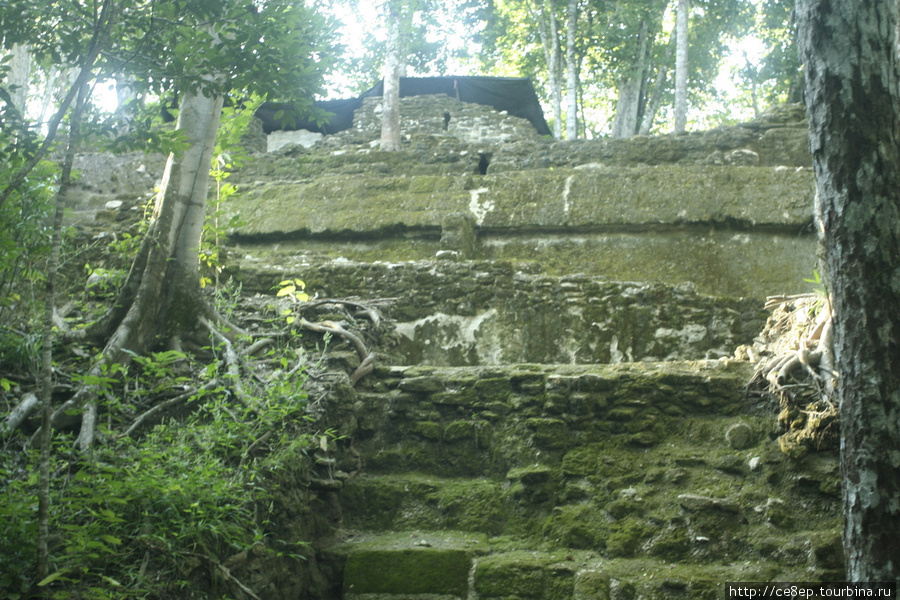 Под тысячелетним слоем Департамент Петен, Гватемала
