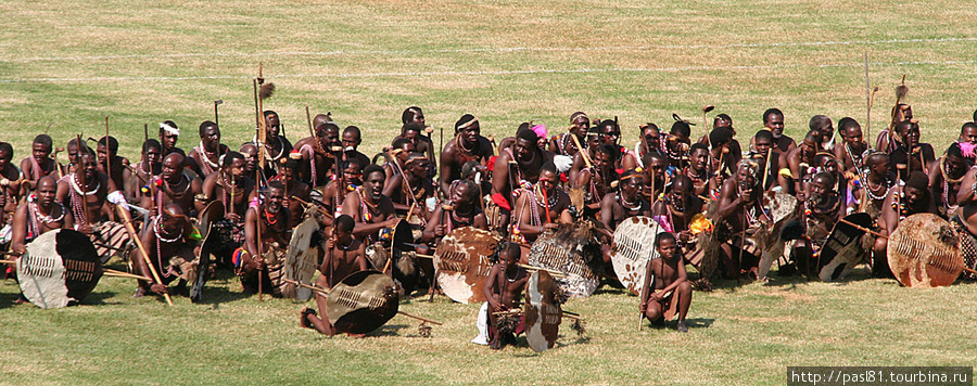 Традиционная гвардия страны. Мбабане, Свазиленд