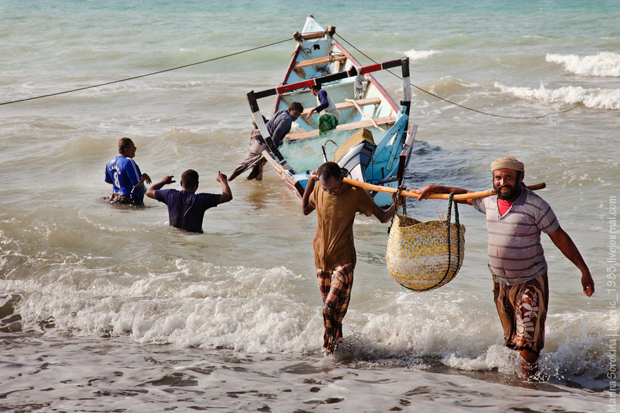 Рыбный рынок в Хохе — это самый  свежий улов, который вытаскивают на берег при вас же Йемен