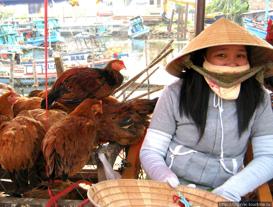Остров Фу Куок, город Дуонг Донг Вьетнам