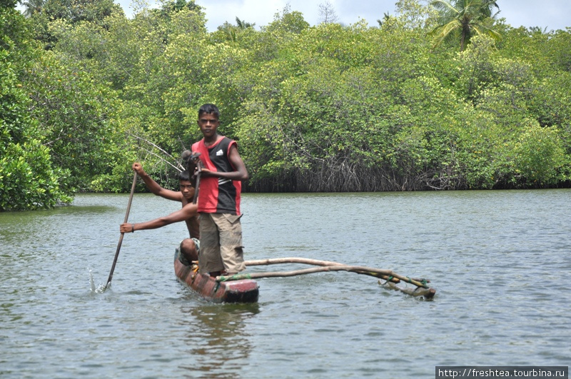 А вот и рыбацкий катамаран — орува. Гребуют в нем, как на каноэ, одним веслом, сидя на корме. Шри-Ланка